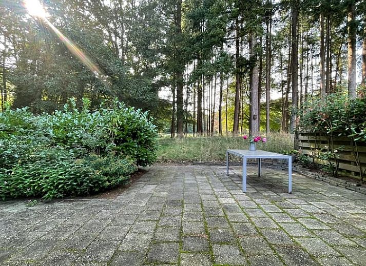 Innenansicht eines Ferienhauses in Wapenveld, Veluwe, Gelderland mit Treppe zum Obergeschoss.