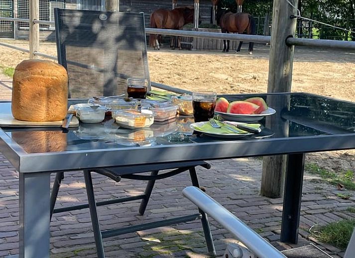 Ferienhaus in Wapenveld, Veluwe, Gelderland mit grossem Garten und gruener Umgebung, ideal zum Entspannen in der Natur.