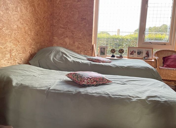 Geniessen Sie die ruhige Natur rund um Ihr Ferienhaus in Wapenveld, Veluwe, Gelderland mit grasenden Pferden im Morgennebel.