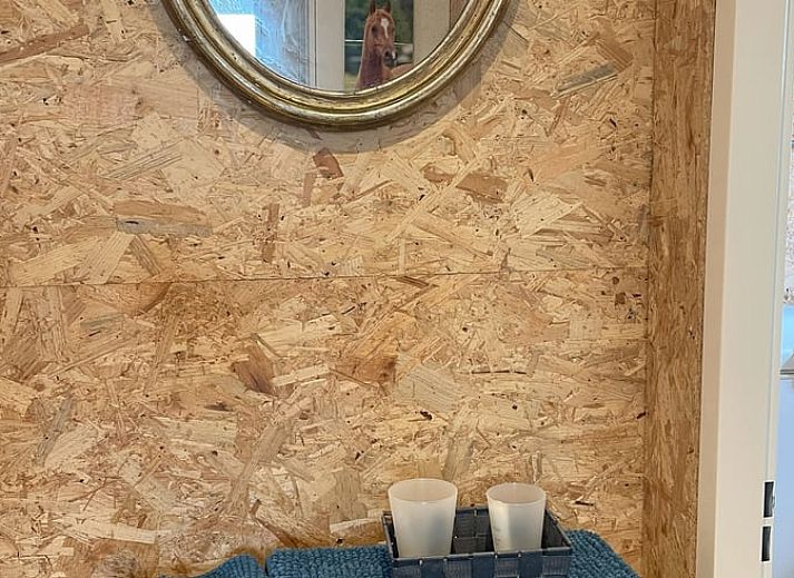 Geniessen Sie die ruhige Natur rund um Ihr Ferienhaus in Wapenveld, Veluwe, Gelderland mit grasenden Pferden im Morgennebel.