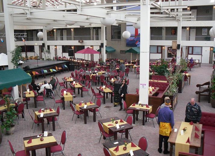 Prachtige tuin bij Hotel Den Helder vakantie appartement aan de Noordzeekust, Den Helder, Noord-Holland.