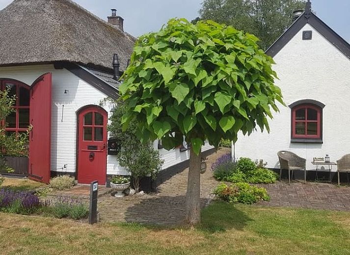 Verblijf 324903 • Vakantiewoning Veluwe • Natuurhuisje in Loenen