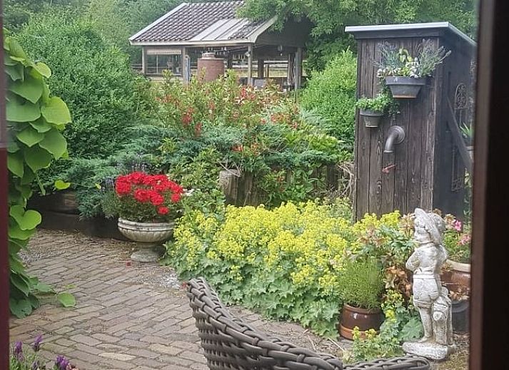 Guest house 324903 - Holiday property Veluwe - Vakantiehuis in Loenen