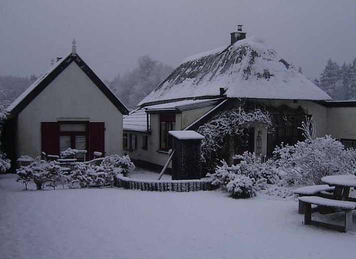 Guest house 324903 - Holiday property Veluwe - Vakantiehuis in Loenen