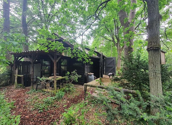 Verblijf 324904 • Vakantiewoning Veluwe • DG647