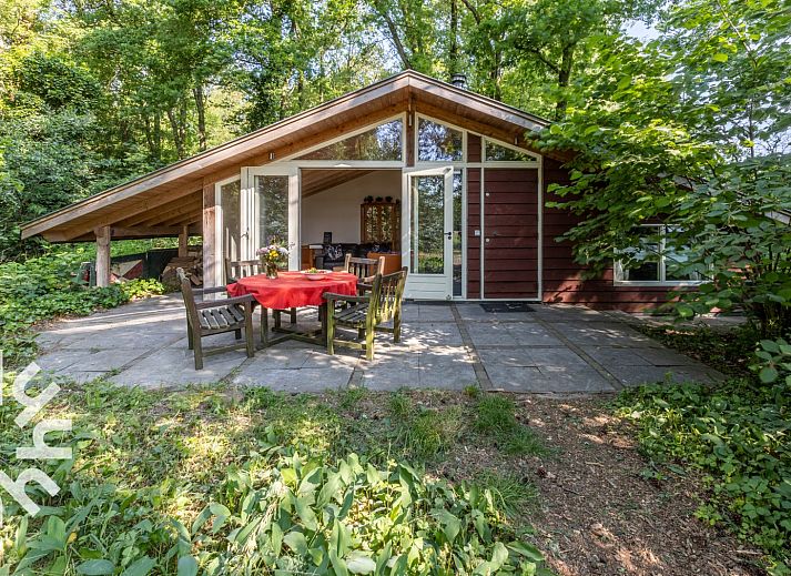 Waldweg zum Ferienhaus DG647 in Loenen, Veluwe, Gelderland.