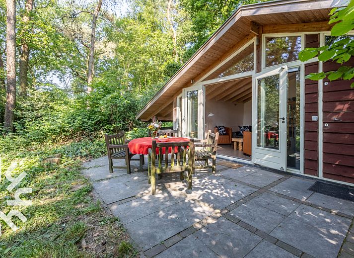 Waldweg zum Ferienhaus DG647 in Loenen, Veluwe, Gelderland.