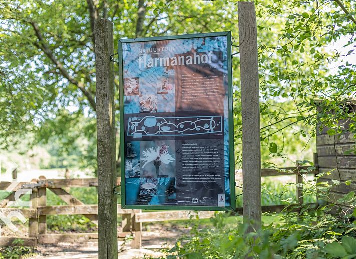 Waldweg zum Ferienhaus DG647 in Loenen, Veluwe, Gelderland.