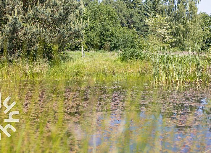 Waldweg zum Ferienhaus DG647 in Loenen, Veluwe, Gelderland.