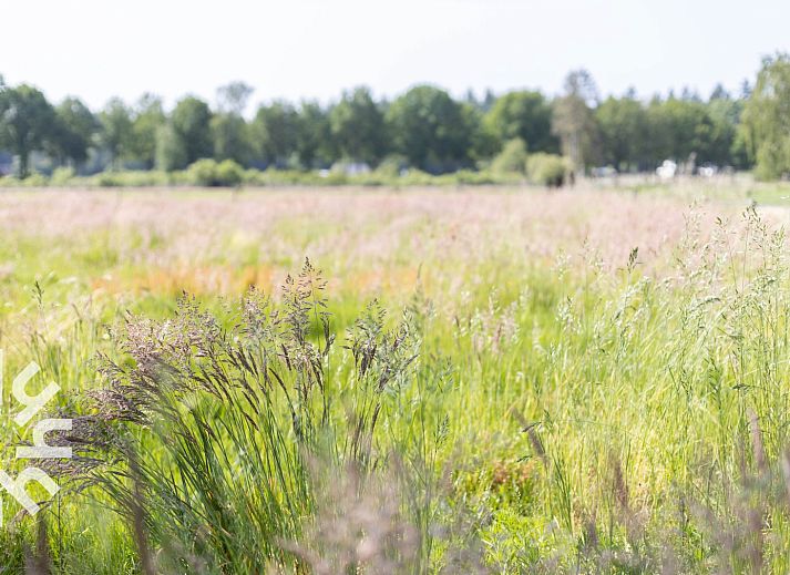 Moderne Kueche im Ferienhaus DG647, Loenen, Veluwe, Gelderland.