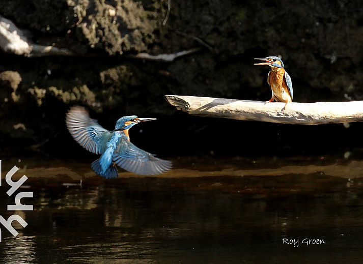 Attraktives Schlafzimmer im DG1763 Ferienhaus Loenen Veluwe mit Holzbalken und gemuetlicher Sitzecke.