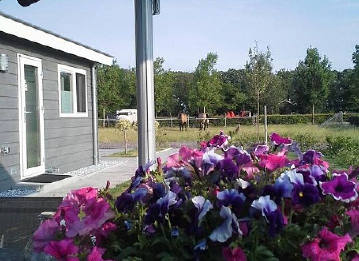 Enjoy the terrace at Van Luttikhuizen chalet rental Zwaantje 1 in Teuge, Veluwe. Ideal for relaxing in nature.