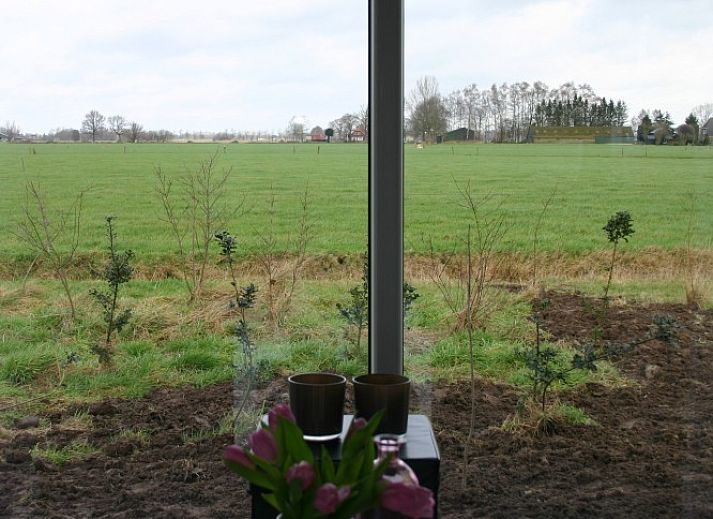 Van Luttikhuizen chalet rental Zwaantje 1 in Teuge, Veluwe offers beautiful views of the green surroundings and comfortable outdoor space.