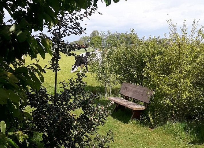 Modern kitchen in Van Luttikhuizen chalet rental Zwaantje 1, Teuge, Veluwe. Fully equipped for a comfortable stay.