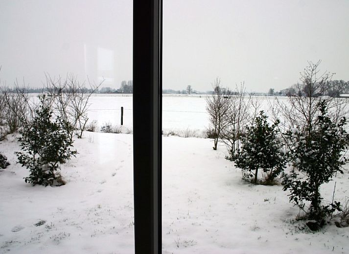 Floral surroundings at Van Luttikhuizen chalet rental Zwaantje 1, Teuge, Veluwe. Perfect for nature lovers.