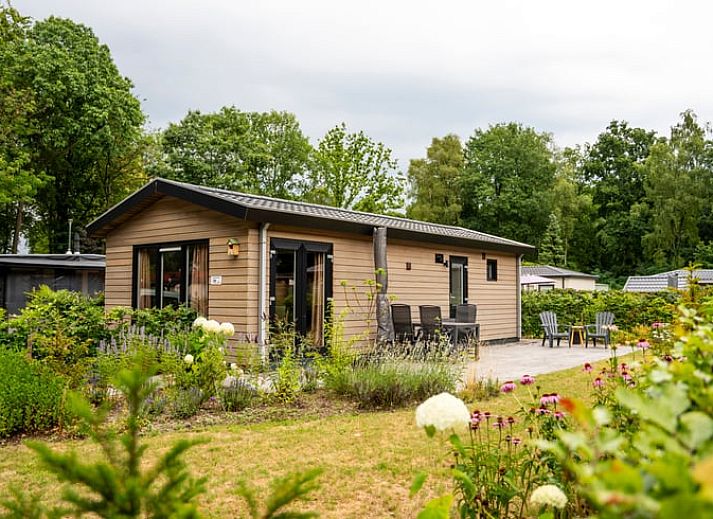 Geniet van de natuur op het terras van Vakantiehuis in Lieren, gelegen in de Veluwe, Gelderland.