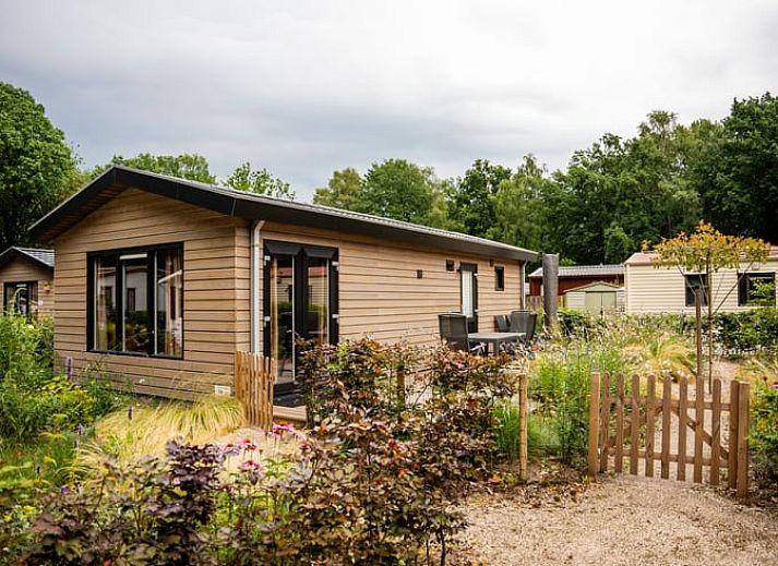 Geniet van de natuur op het terras van Vakantiehuis in Lieren, gelegen in de Veluwe, Gelderland.