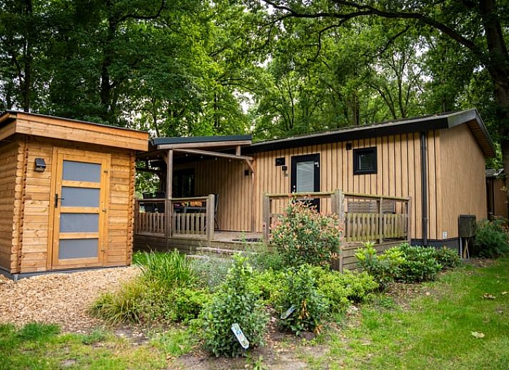 Geniet van de natuur op het terras van Vakantiehuis in Lieren, gelegen in de Veluwe, Gelderland.