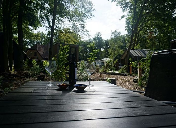 Verken de groene omgeving rondom Vakantiehuis in Lieren, een charmante vakantiewoning op de Veluwe, Gelderland.