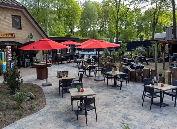 Ervaar rust en privacy in Vakantiehuis in Lieren met zijn ruime veranda in de Veluwse bossen, Gelderland.