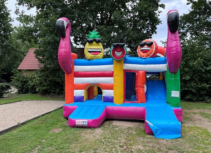 Vakantiehuis in Lieren biedt een gezellige buitenruimte, perfect voor een vakantie in de Veluwe, Gelderland.