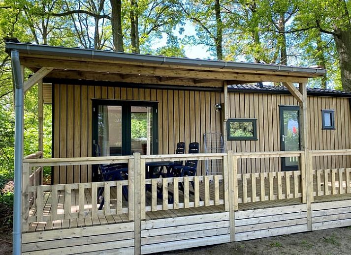 Rustiek vakantiehuisje in Lieren op de Veluwe, omgeven door groene natuur en bomen.