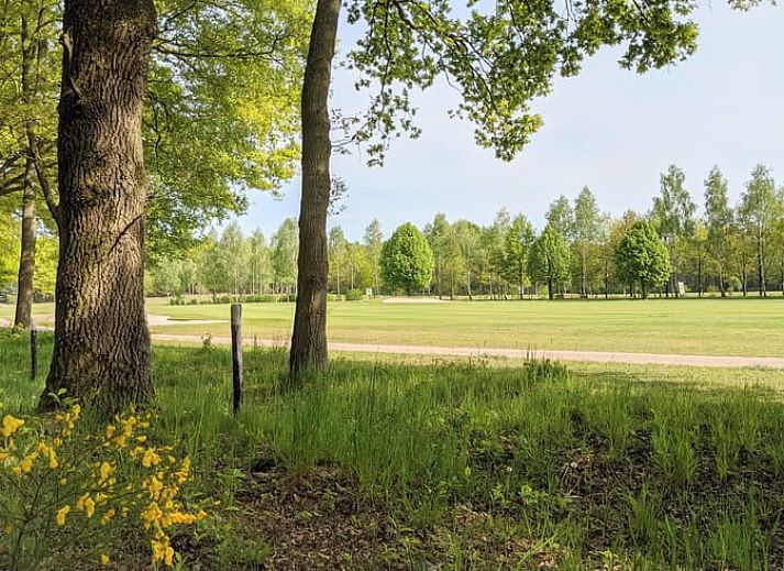 Veranda van vakantiehuisje in Lieren, Veluwe, met comfortabele zitplaatsen en uitzicht op groen.