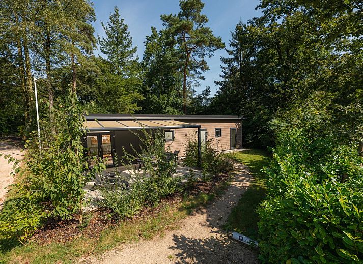 Guest house 325308 - Holiday property Veluwe - Bos Lodge