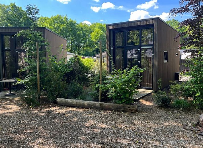 Ferienhaus in Lieren, umgeben von gruener Natur in der Veluwe, Gelderland.