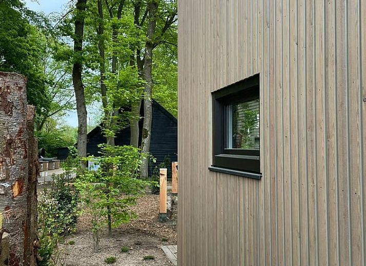 Ferienhaus in Lieren, umgeben von gruener Natur in der Veluwe, Gelderland.