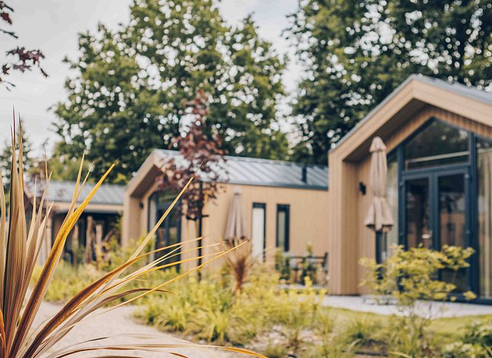Guest house 325319 - Holiday property Veluwe - Tiny Lodge met Hottub