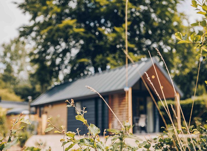 Guest house 325332 - Holiday property Veluwe - Tiny Loft met hottub