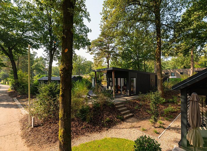 Guest house 325333 - Holiday property Veluwe - Zand Lodge Comfort