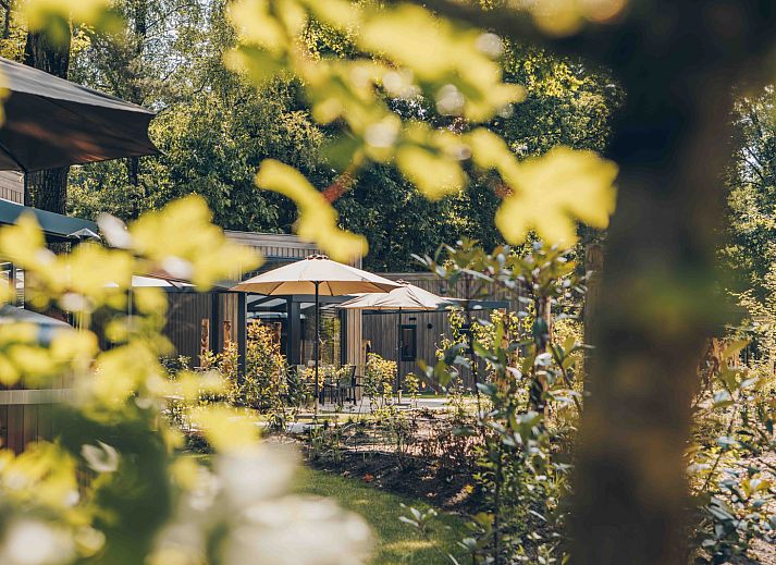 Verblijf 325341 - Vakantiewoning Veluwe - Reeëndal Lodge Comfort