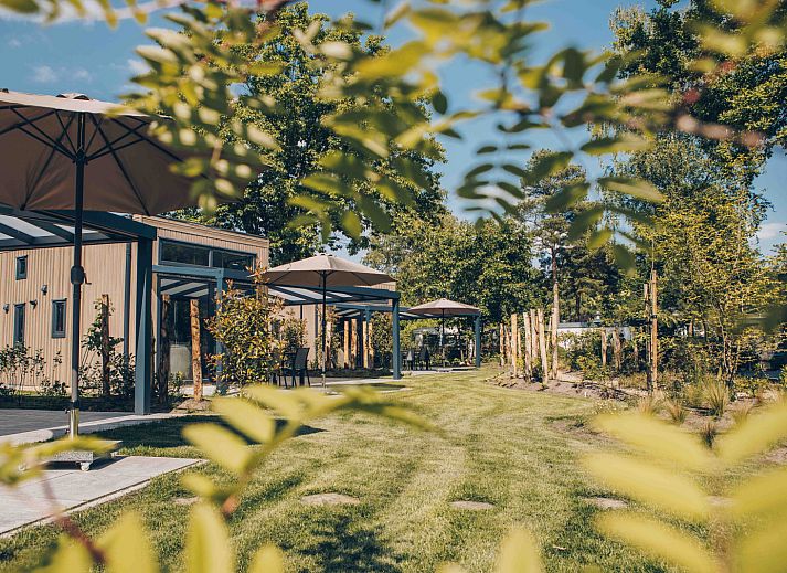 Verblijf 325341 - Vakantiewoning Veluwe - Reeëndal Lodge Comfort