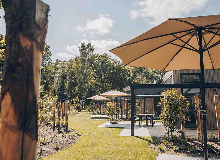 Verblijf 325341 - Vakantiewoning Veluwe - Reeëndal Lodge Comfort