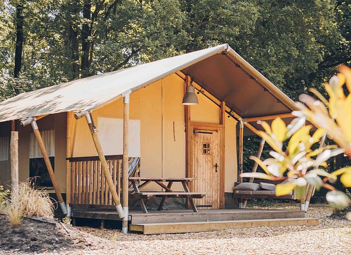 Unterkunft 325344 - Zelthaus Veluwe - Safaritent