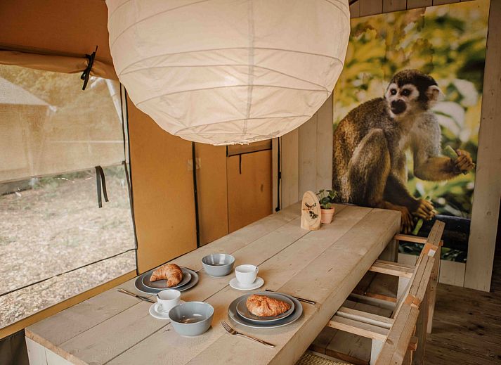 Unterkunft 325344 - Zelthaus Veluwe - Safaritent