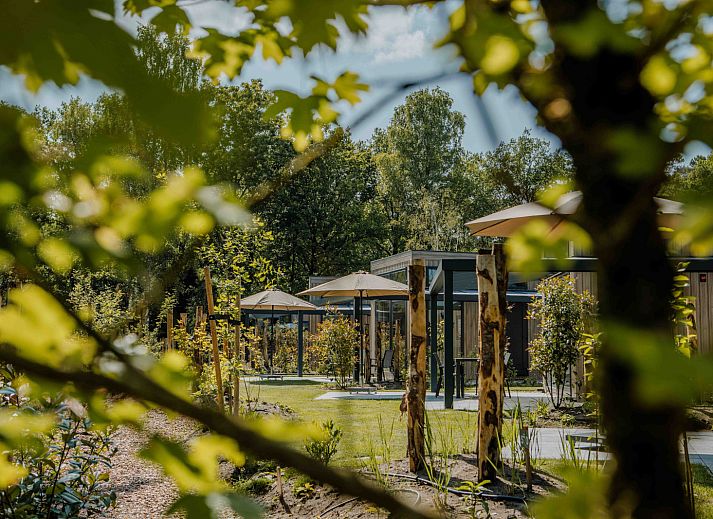 Verblijf 325348 - Vakantiewoning Veluwe - Reeëndal Lodge Comfort met Hottub