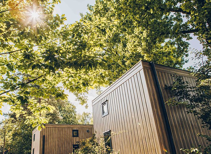 Verblijf 325348 - Vakantiewoning Veluwe - Reeëndal Lodge Comfort met Hottub