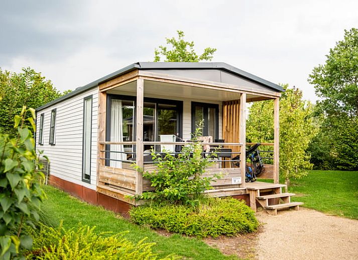 Veranda des Ferienhauses in Lieren, Veluwe, Gelderland mit Blick auf den gruenen Garten.