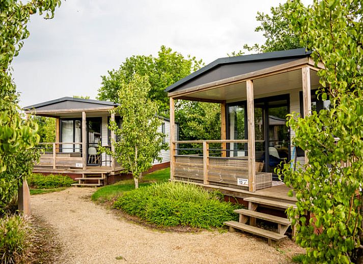 Veranda des Ferienhauses in Lieren, Veluwe, Gelderland mit Blick auf den gruenen Garten.