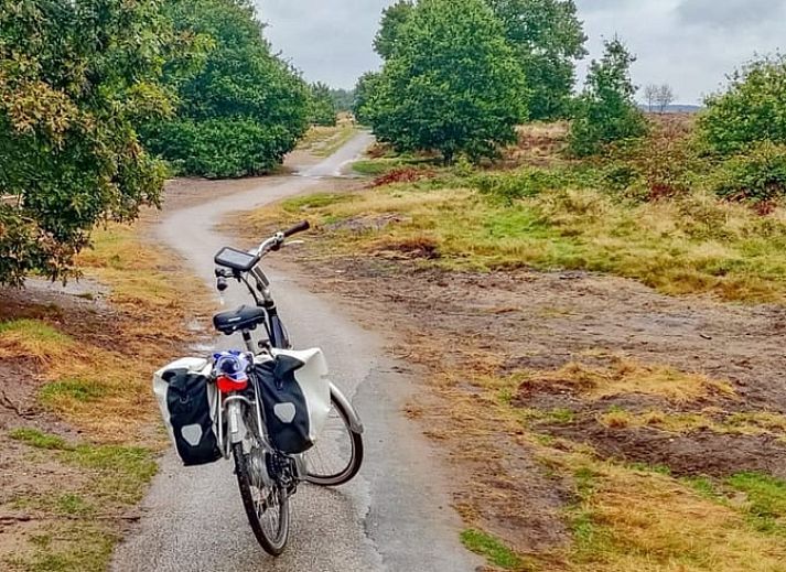Komplette Kueche im Ferienhaus in Lieren, Veluwe, Gelderland mit modernen Geraeten.