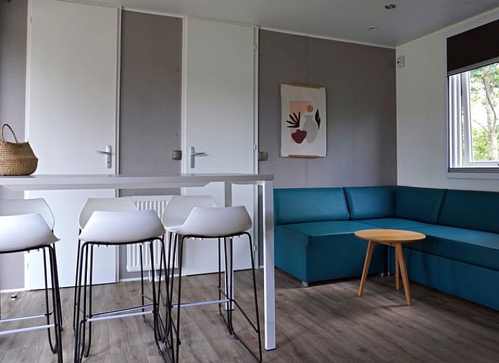 Playground at cottage in Lieren, vacation home in the Veluwe, Gelderland. Child-friendly environment with lots of greenery.