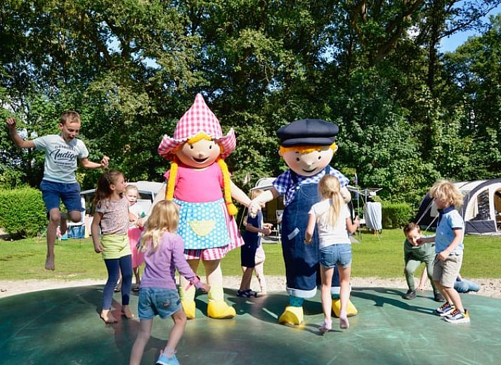 Gezellig terras bij Vakantiehuis in Lieren, Veluwe, Gelderland met uitzicht op de natuur.