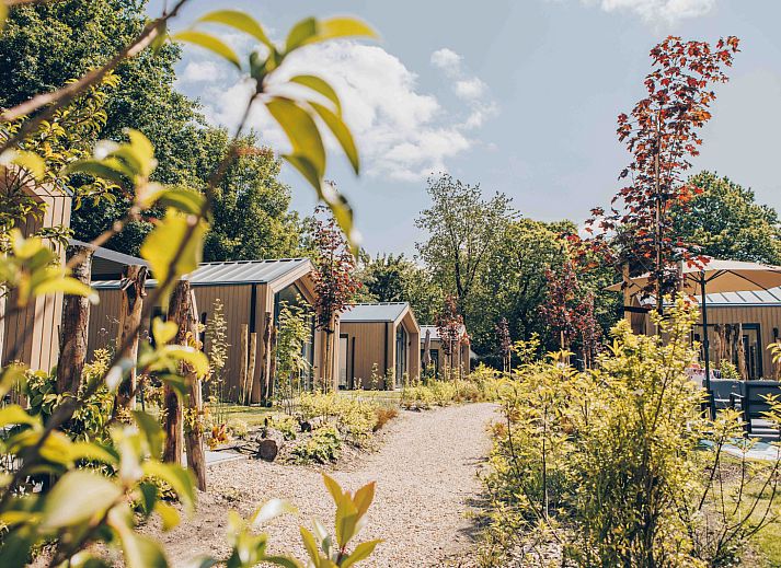 Verblijf 325364 - Vakantiewoning Veluwe - Tiny Lodge