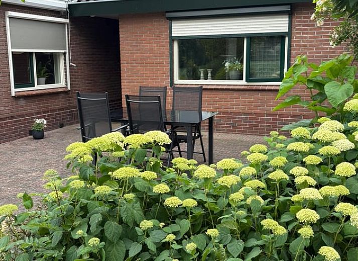 Moderne keuken in Vakantiehuisje in Wekerom, Veluwe, met stijlvolle inrichting.
