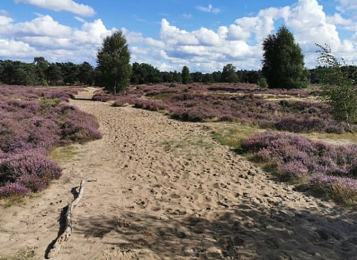 Moderne keuken in Vakantiehuisje in Wekerom, Veluwe, met stijlvolle inrichting.