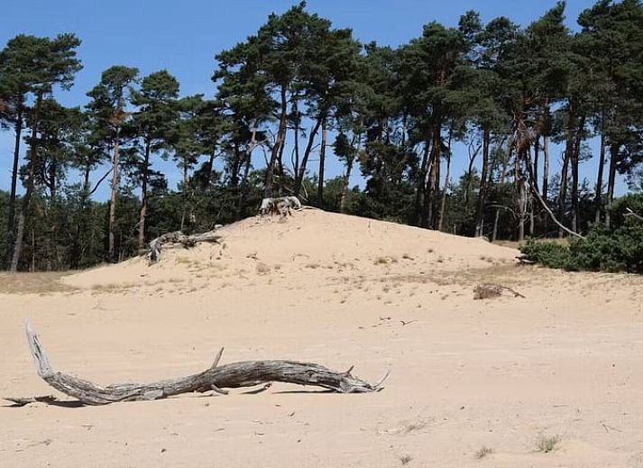 Slaapkamer in Vakantiehuisje in Wekerom, Veluwe, met groot raam en natuurlijke lichtinval.