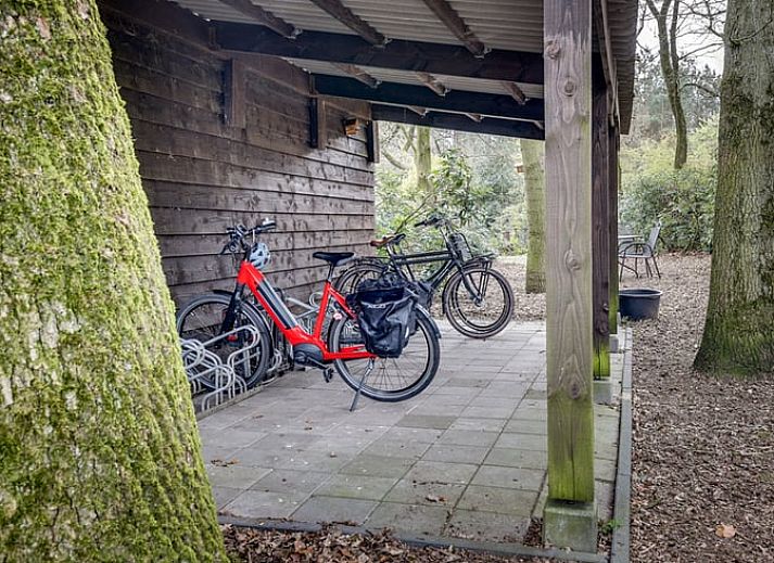 Woonkamer van Huisje in Wekerom, vakantieverblijf in Wekerom, Veluwe met kunst aan de muur.